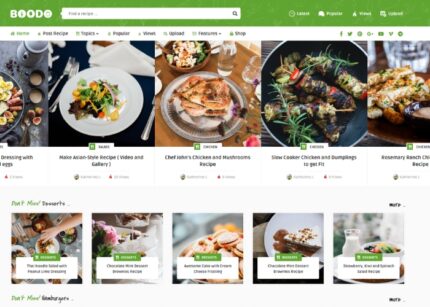 Boodo Theme WP GPL – Food and Magazine Shop