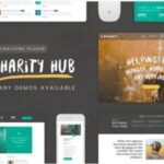 Charity Foundation Theme WP GPL