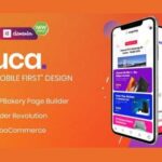 Puca Theme GPL v2.6.11 – Optimized Mobile WooCommerce Latest Version