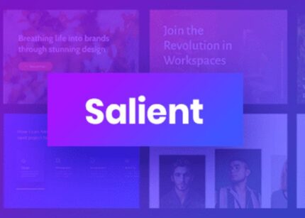 Salient Theme GPL v16.0.5 – Responsive Multi-Purpose Websites