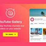 YouTube GPL Plugin WordPress YouTube Gallery Plugin