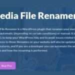 Media File Renamer Pro WP GPL