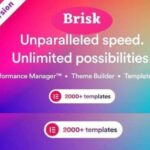 Brisk Theme Multi-Purpose Elementor WP GPL WordPress Websites
