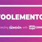 CoDesigner Pro Formerly Woolementor WP GPL PRO