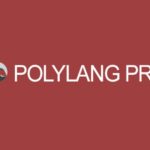 Polylang Pro WP GPL Plugin