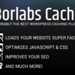 Borlabs Cache Caching WP GPL Plugin