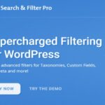 Search & Filter Pro The Ultimate Filter WP GPL Plugin