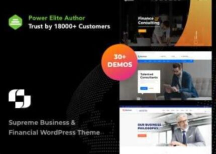 Businext Theme Business and Financial Institution WP GPL Theme v-2.4.5