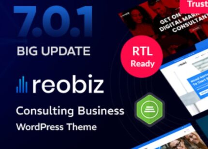 Reobiz Theme Consulting Business WP GPL Websites