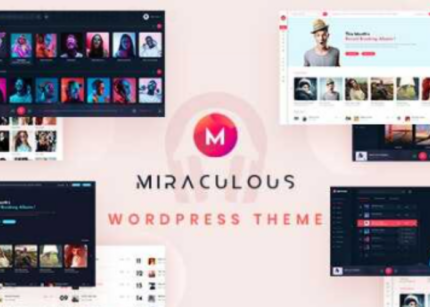 Miraculous Theme Multi Vendor Online Music Store WP GPL Theme