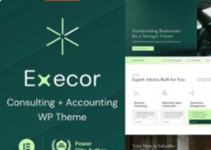 Execor Theme Accounting and Management Consulting WP GPL Theme v-12.0